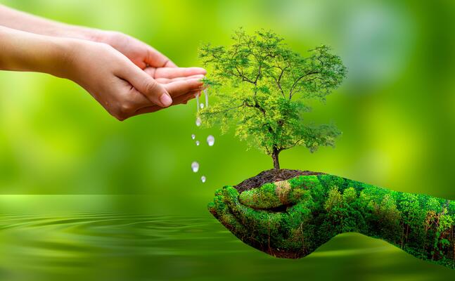 Sacred Nature Conservation