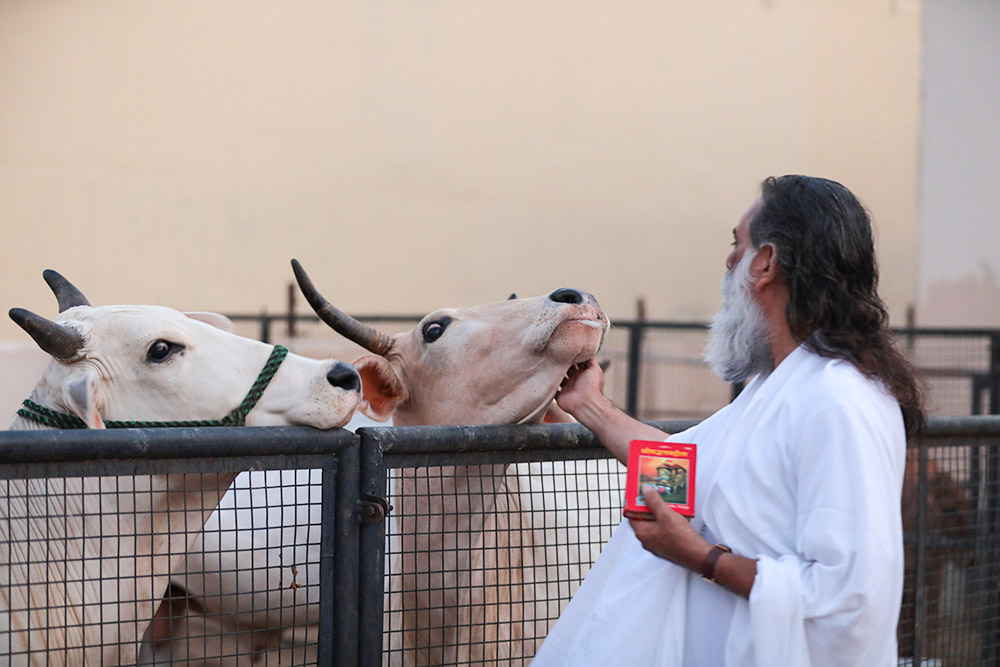 Vedic Rituals