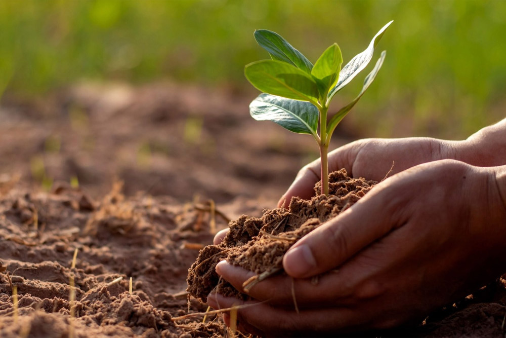 Organic Farming